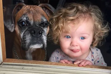 Kao da je od šećera, snijeg je njima prava senzacija