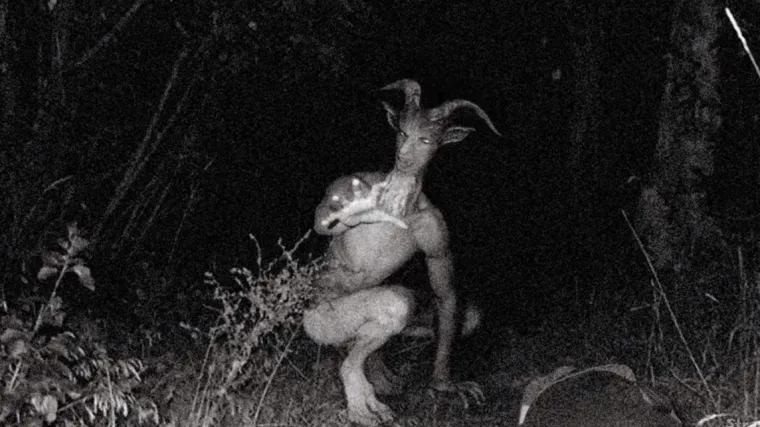 Najnoviji hit na internetu hibrid je čovjeka i koze