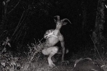 Najnoviji hit na internetu hibrid je čovjeka i koze