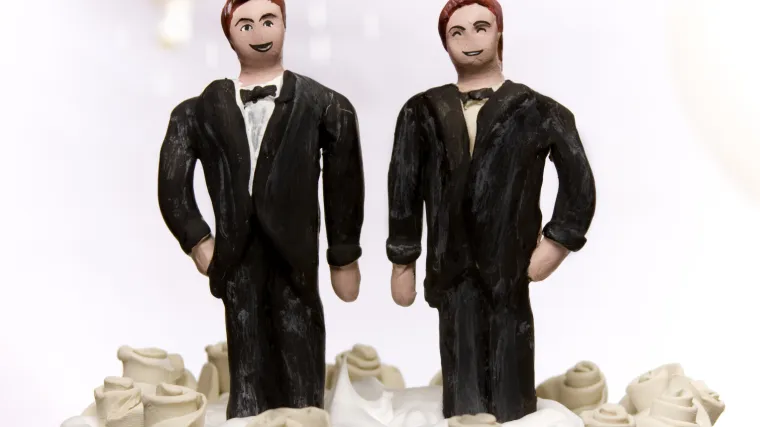 Odlučuju o izjednačavanju prava istospolnih parova i heteroseksualnih veza