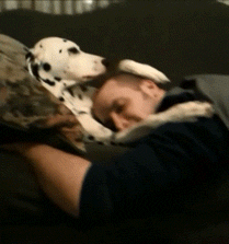 Vi&scaron;e nikad ti neće trebati cura