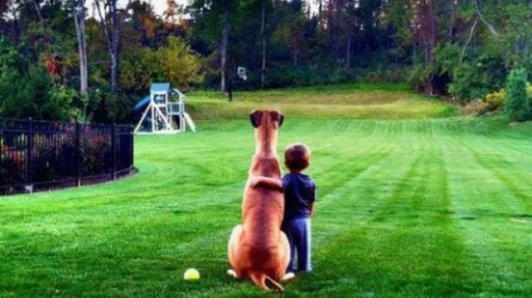 Psi i mačke u kombinaciji s mali&scaron;anima najslađi su prizori na svijetu