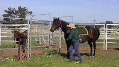 Neke životinje stvarno su neukrotive