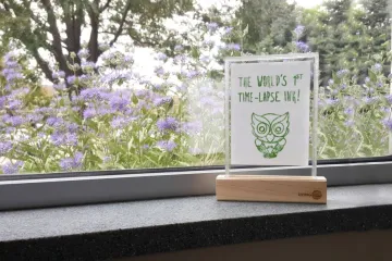 Tinta od živih algi stvara time lapse crteže pomoću Sunca