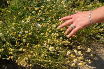 Preorijentirali proizvodnju i uboli pravi zgoditak, tražit će i kooperante