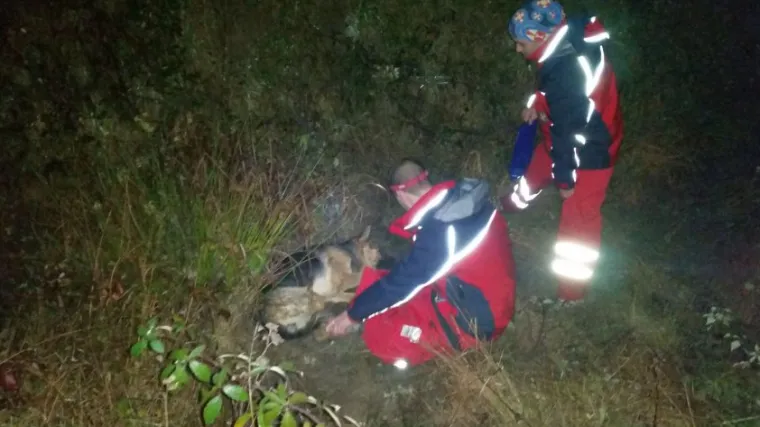 Monstrum izrešetao dva psa HGSS-a, Rexu nije bilo spasa