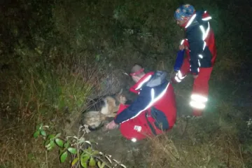 Monstrum izrešetao dva psa HGSS-a, Rexu nije bilo spasa