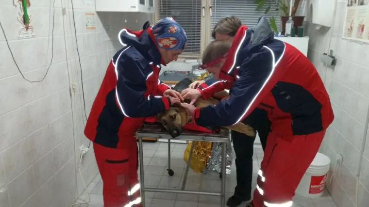 Policija pronašla i privela muškarca koji je ubio jednog, a ranio drugog HGSS-ovog psa