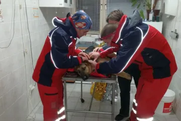 Policija pronašla i privela muškarca koji je ubio jednog, a ranio drugog HGSS-ovog psa