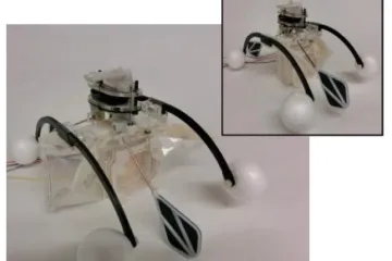 Robot koji se hrani algama i proizvodi struju