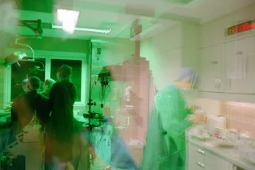 Zaraza hara u BiH: zbog Q groznice hospitalizirane četiri osobe