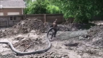 Strah i trepet svakog radnika: Napad betonske zmije na gradili&scaron;tu