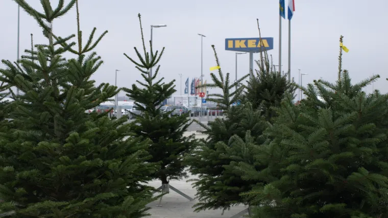 IKEA potiče građane da recikliraju svoja božićna drvca