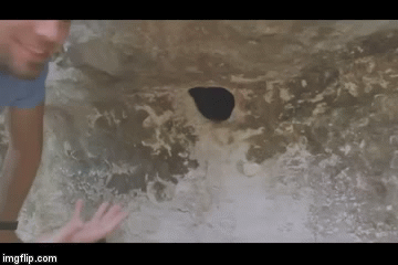 Gurnuo ruku u rupu, naježit ćete se kad vidite &scaron;to je iza&scaron;lo iz nje