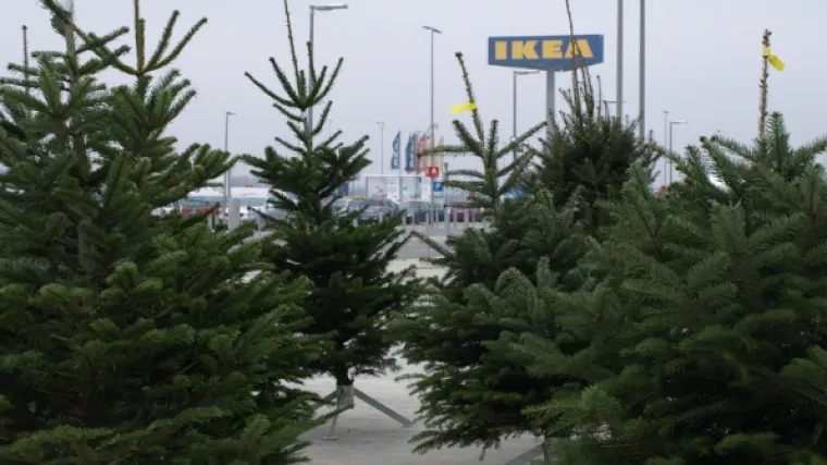 Kupite božićno drvce ispred robne kuće IKEA i preuzmite poklon bon od 90 kuna!