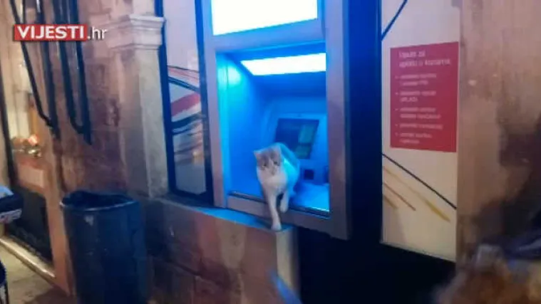Mijauk razuma: šoping groznici se pred bankomatom u Dubrovniku suprotstavila mačka!