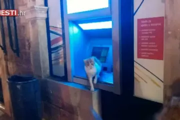 Mijauk razuma: šoping groznici se pred bankomatom u Dubrovniku suprotstavila mačka!