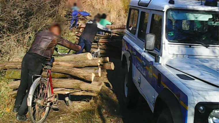 FOTO: Sve veći broj &scaron;umskih krađa - ovako se kradu i prevoze drva