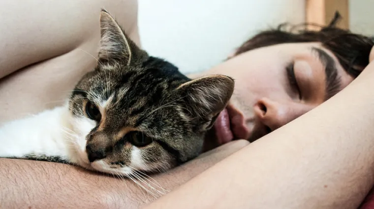 Dovoljno je najmanje 7 sati dnevno