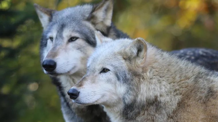 Nevjerojatno je &scaron;to sve možemo naučiti iz jedne jedine fotografije