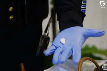 Floridu pogađa najveća kriza droge nakon kokainske krize 80-tih