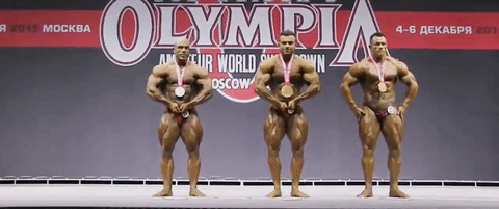 Guliverova putovanja...