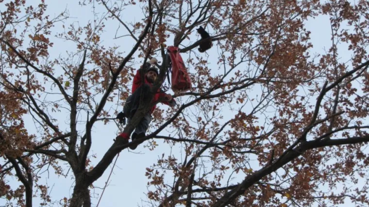 Dirnut će vas do suza kada pročitate za&scaron;to su se odrekli blagdana