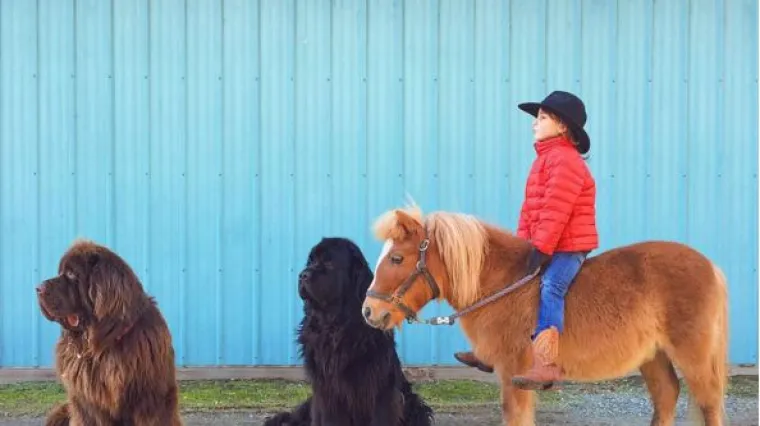 Dječak Julian ima doista posebnu ekipu, dva velika psa i lijepog konja