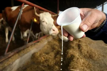 Antibiotici u stočarstvu vode razvoju sve opasnijih superbakterija