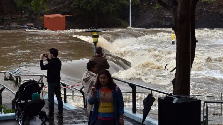 Krokodili počeli ulaziti u naselja i napadati pse