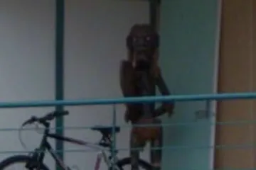 Nećete vjerovati što je sve zabilježio Google Maps