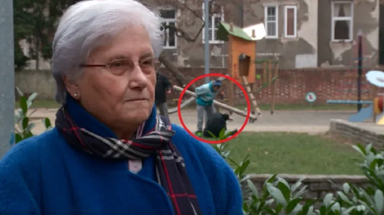 "Oćeš mog psa trovat p***o!?"