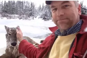 Ugledao kako se utapa u zamrznutoj rijeci i odlučio joj pomoći