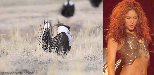 Mi smo ogledalo prirode