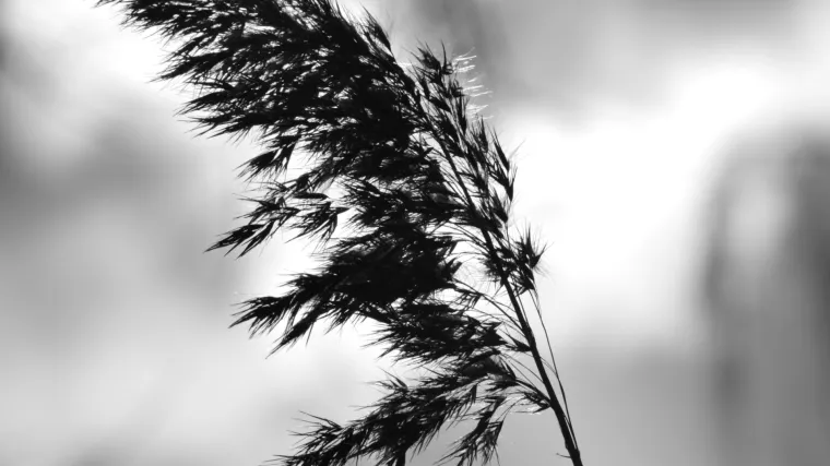 Nemilosrdna hladnoća pro&scaron;log je vikenda u Poljskoj usmrtila 21 osobu!