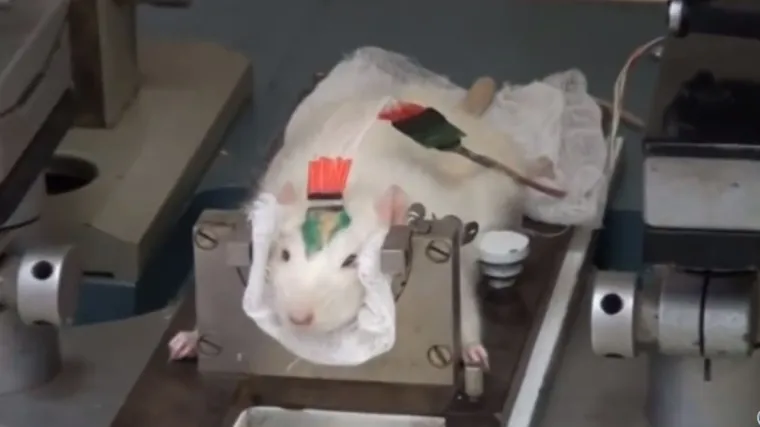 Putinovo najnovije oružje protiv ISIL-a totalno je ludo