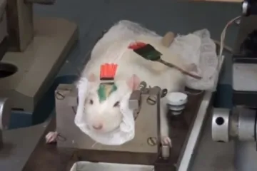 Putinovo najnovije oružje protiv ISIL-a totalno je ludo