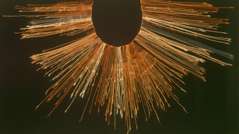 Znanstvenici napokon riješili drevnu zagonetku Inka