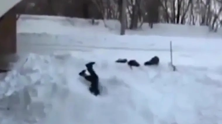 Ideje za zabavu na snijegu koje NEMOJTE kopirati