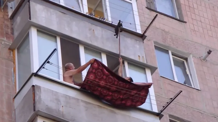 Uplašenog mačića spasili pomoću metle i deke