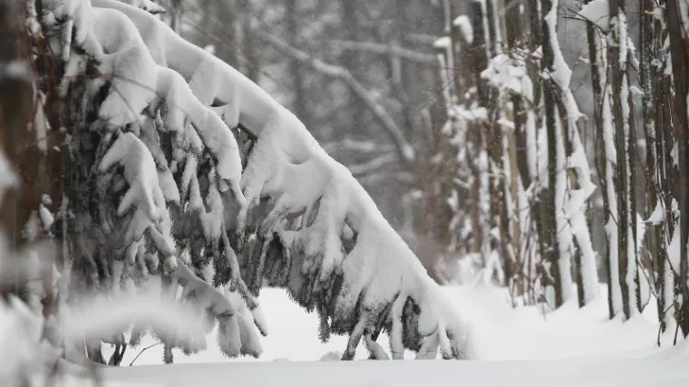 Smrznuo se mu&scaron;karac na sjeveru BiH