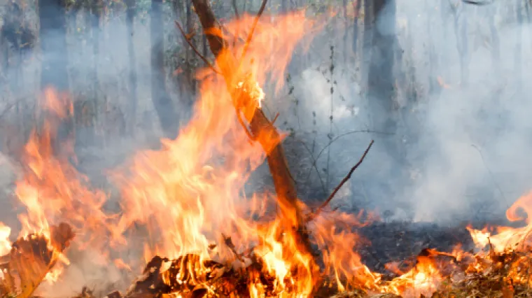 Veliki &scaron;umski požar u Australiji: izgorjelo vi&scaron;e od sto kuća, dvoje mrtvih