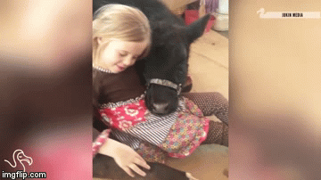 Preslatke snimke dječice koja njeguju životinje potpuno će vas raznježiti