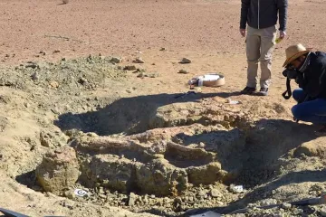 Našli fosile krokodila velikog poput autobusa