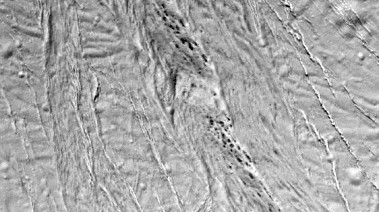 Na Saturnovom mjesecu otkrili 'dalmatinerski krajolik'