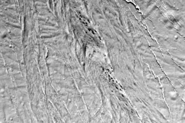 Na Saturnovom mjesecu otkrili 'dalmatinerski krajolik'