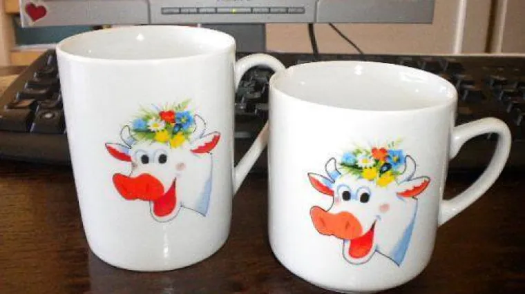 Možda se sjećate ove kravice, ali sigurno ne znate njen životopis