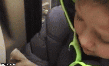 Ponovni susret izgubljenog psa i dječaka