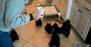 Najslađi tornado na svijetu!