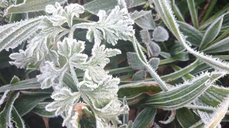 Smrznuta Istra: U Pazinu -8, Pula -4...